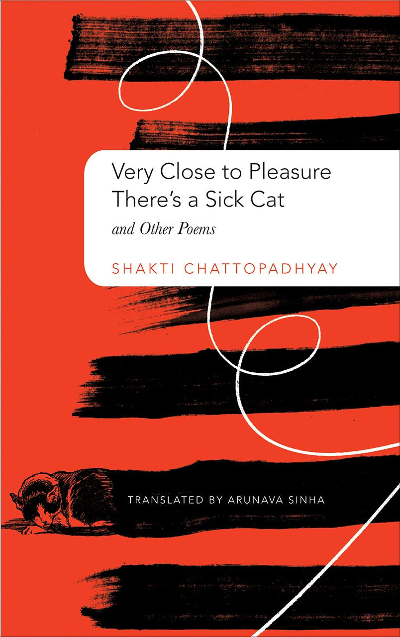 Very Close to Pleasure There’s a Sick Cat