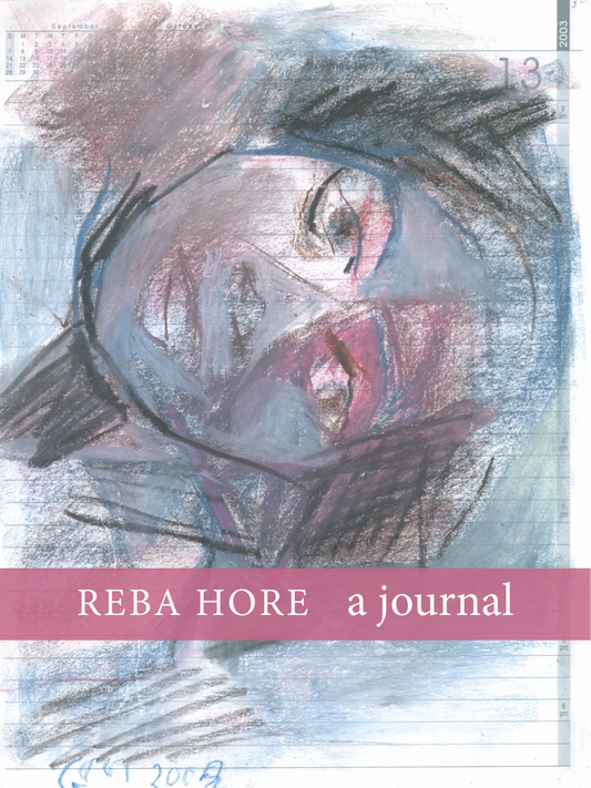 a journal