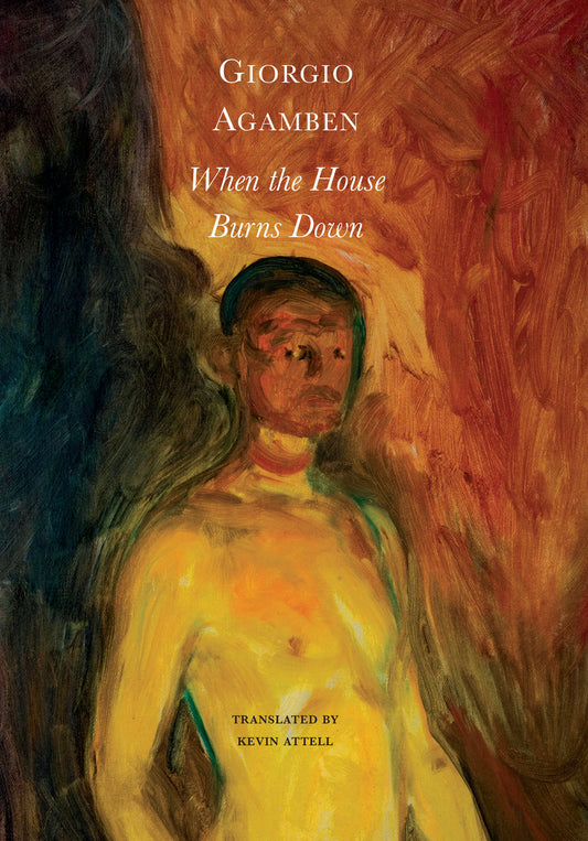 When the House Burns Down (Hardback)