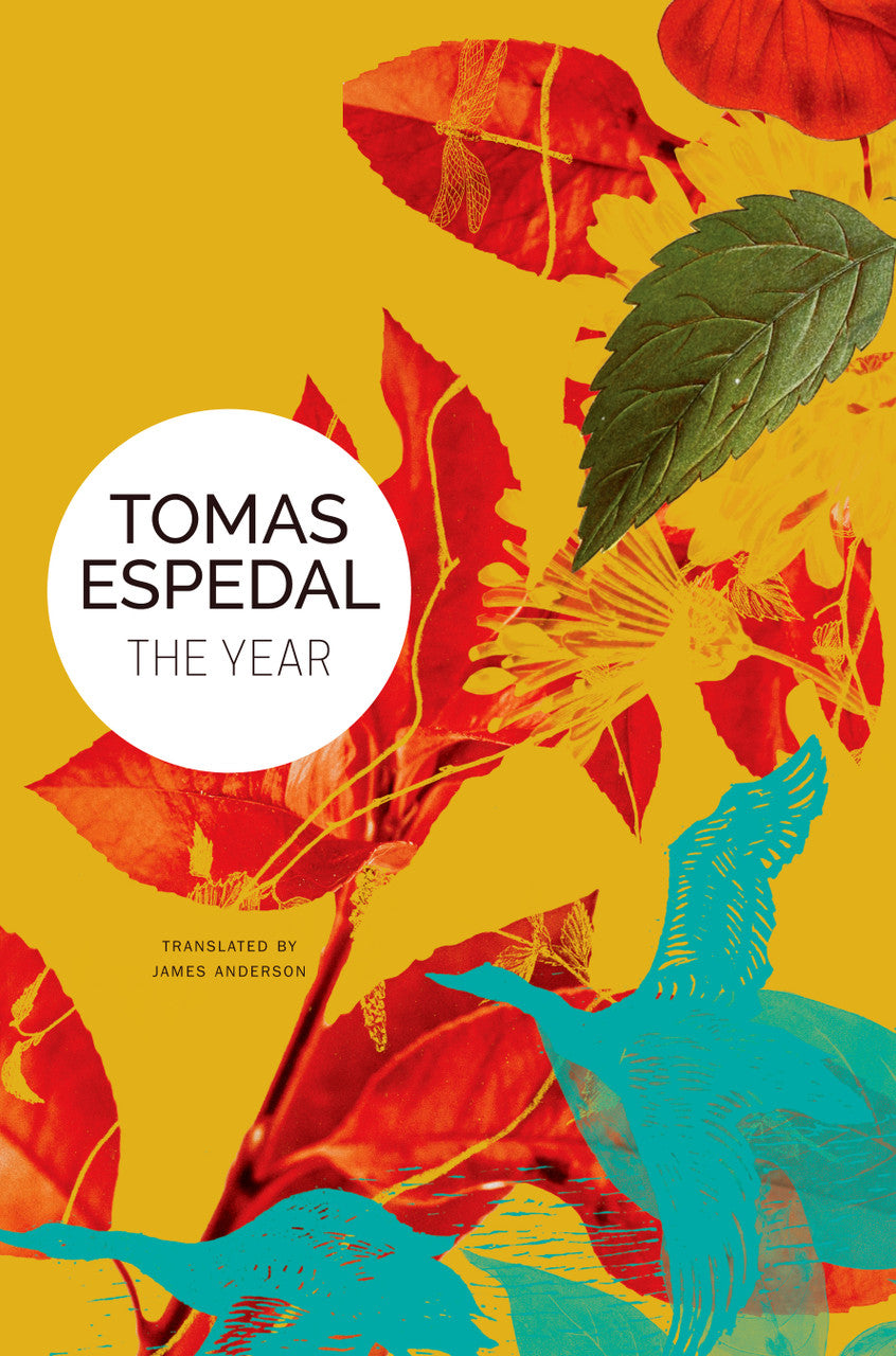 The Year by Tomas Espedal | Seagull Books