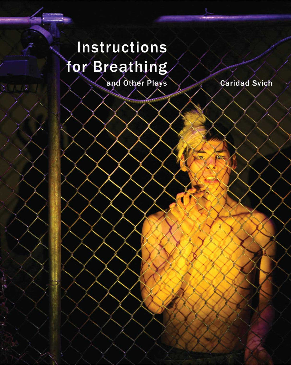 Instructions for Breathing: and Other Plays by Caridad Svich | Seagull Books