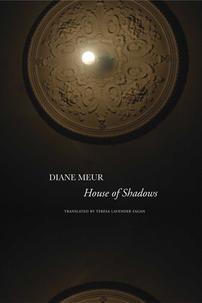 House of Shadows by Diane Meur | Seagull Books