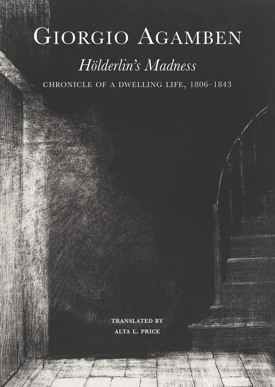 Hölderlin’s Madness (Paperback)