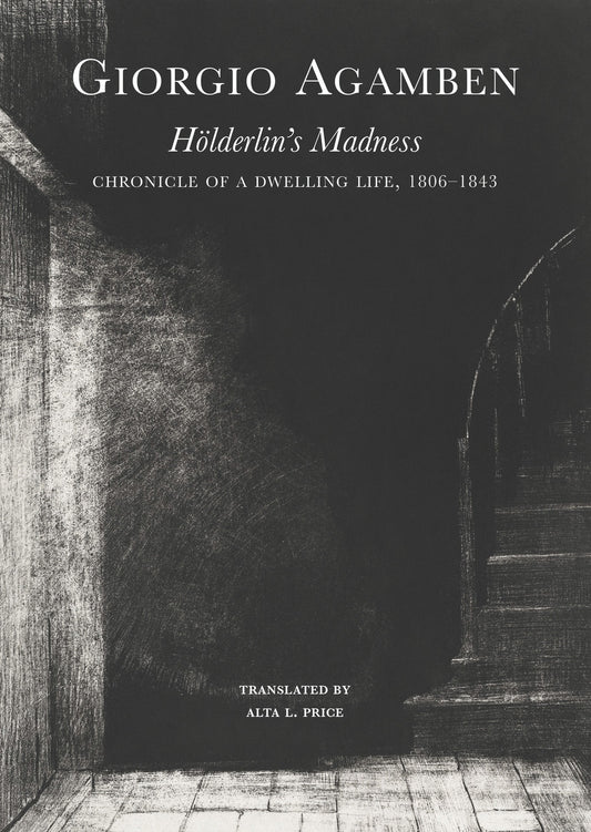 Hölderlin’s Madness (Paperback)