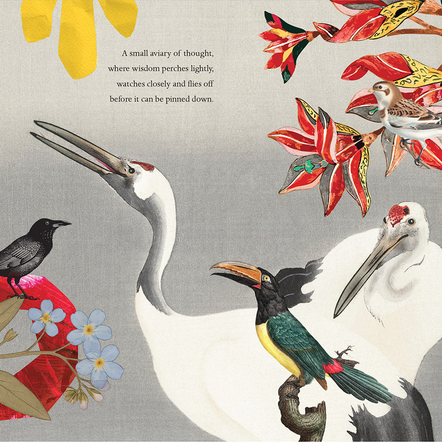 The Seagull Wall Calendar 2026